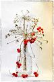 586 - OMBELLES ET BRYONE - DUPEUX ROSELINE - france